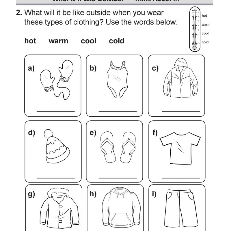 grade-1-stem-workbook