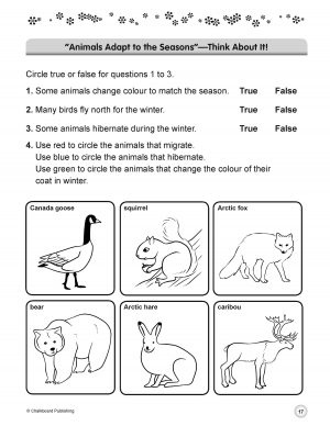 Grade 2 STEM Workbook