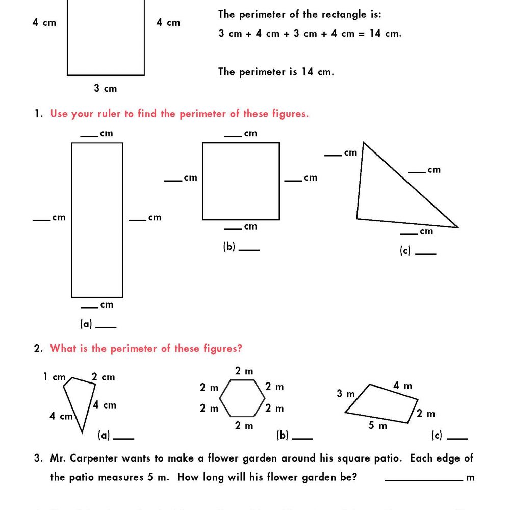 Check & Double Check Math Level 4 - eBook - Chalkboard Publishing