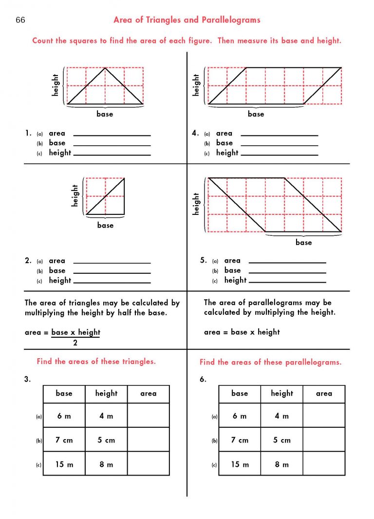 Double Checking Math Check & Double Check Math Level 7 - eBook - Chalkboard Publishing