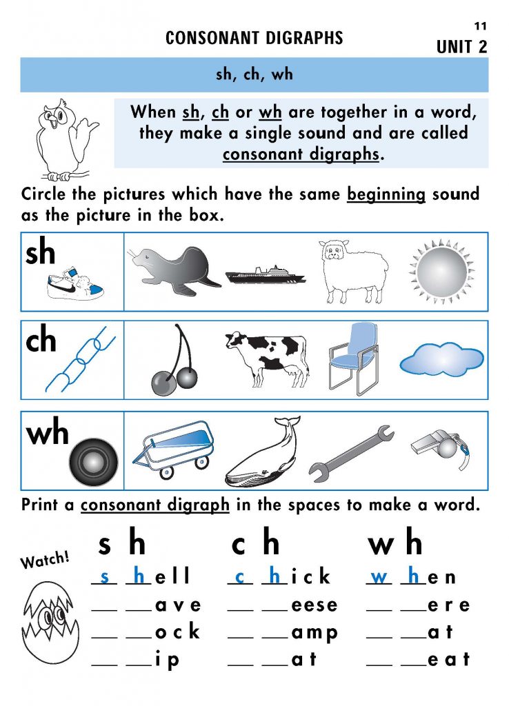 Check & Double Check Phonics Level 2 - eBook - Chalkboard Publishing