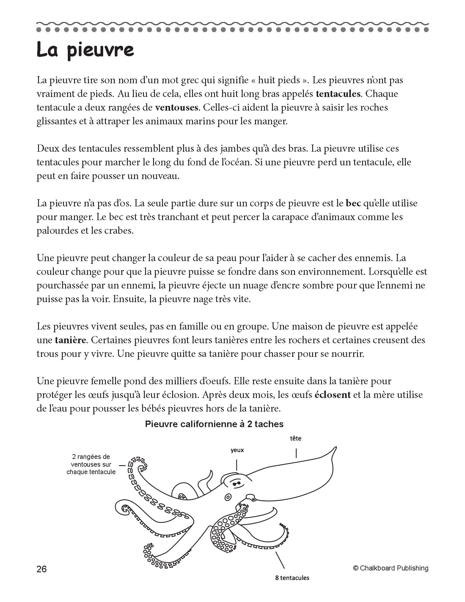 grade-3-free-printable-french-reading-comprehension-reading