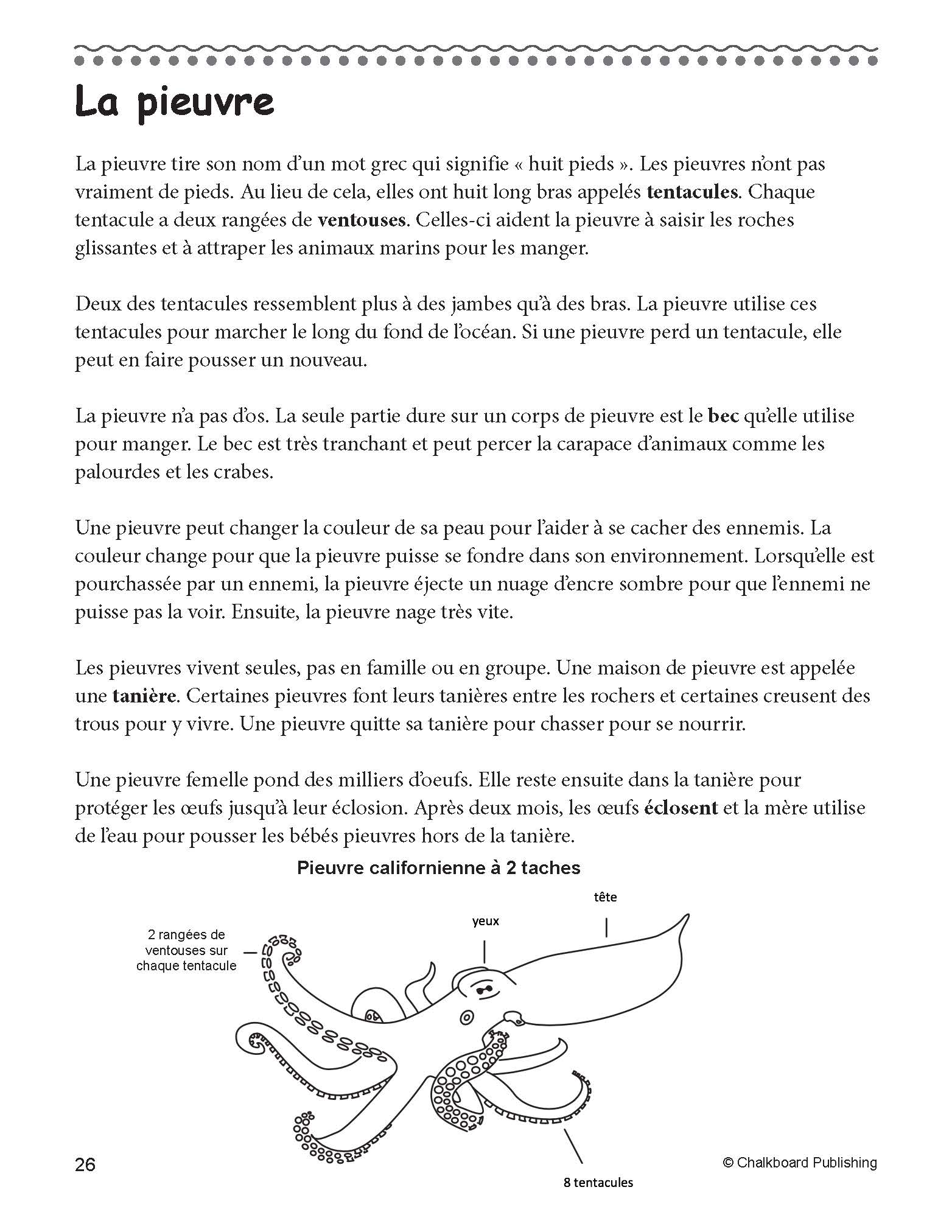 Grade 3 Free Printable French Reading Comprehension Reading 