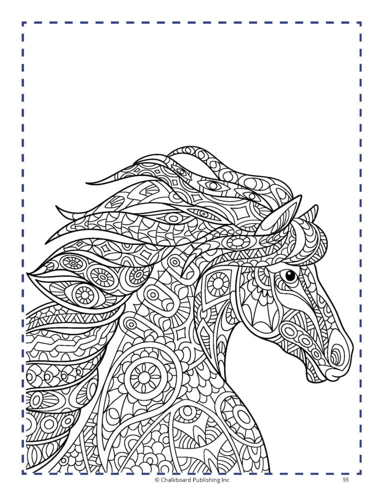 USA Creative Coloring: Animals - eBook - Chalkboard Publishing